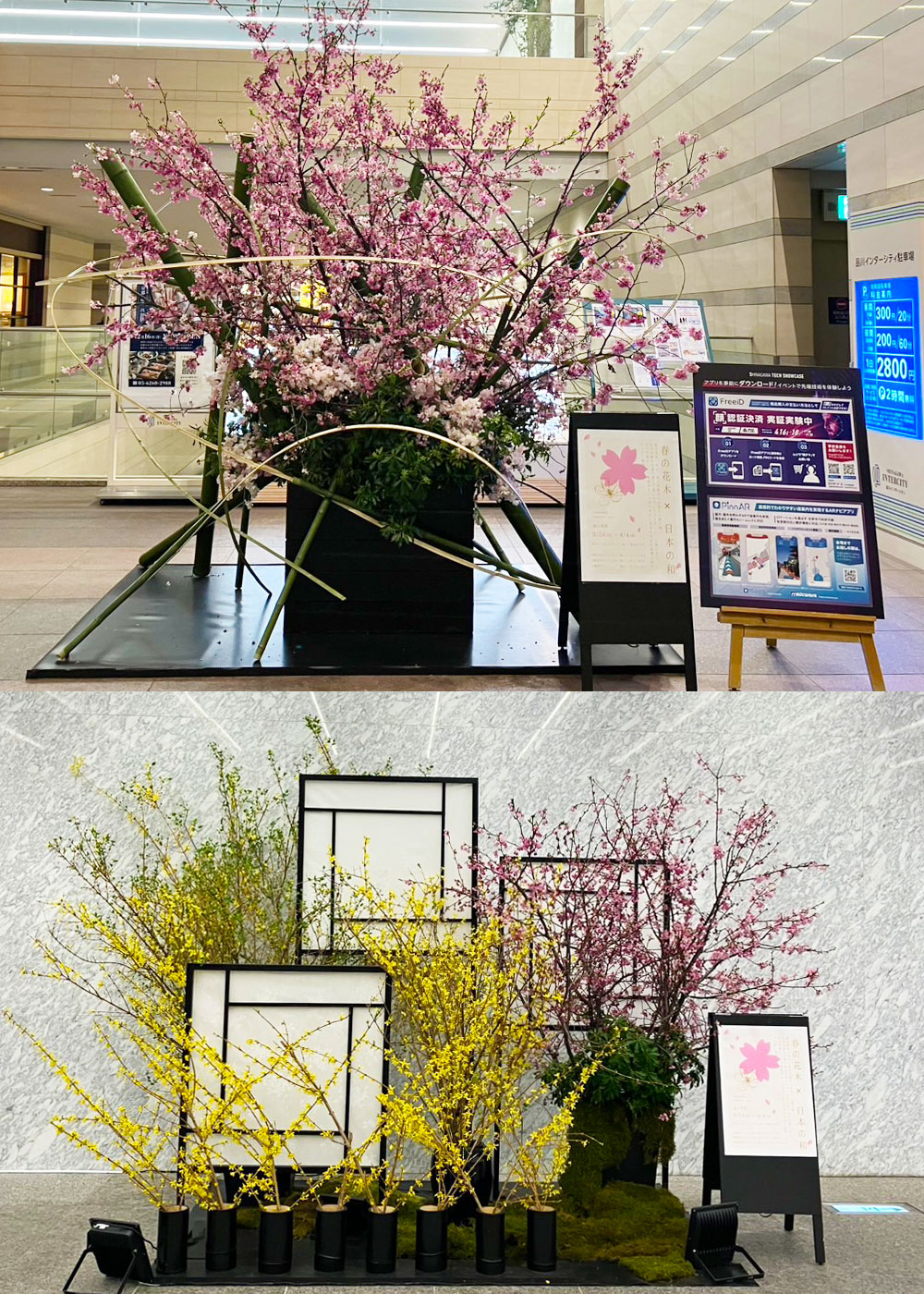 春の花木 ✕ 日本の和