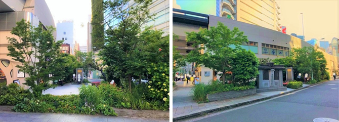 京橋大根河岸おもてなしの庭