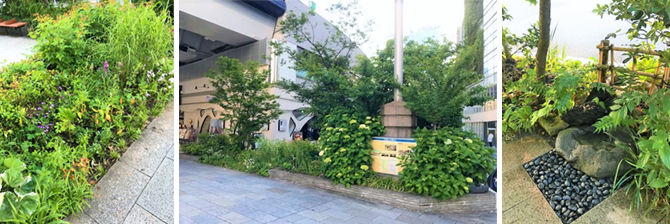 京橋大根河岸おもてなしの庭庭