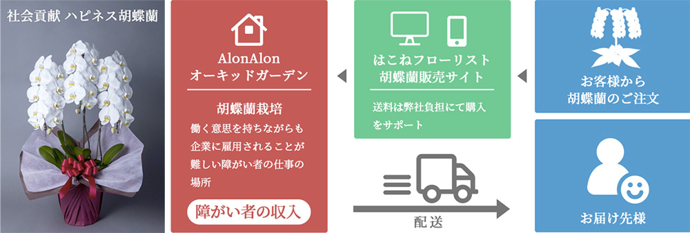 AlonAlonハピネス胡蝶蘭