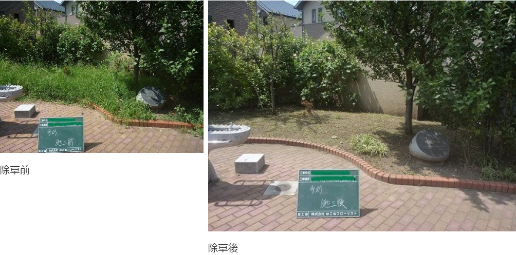 公園除草作業