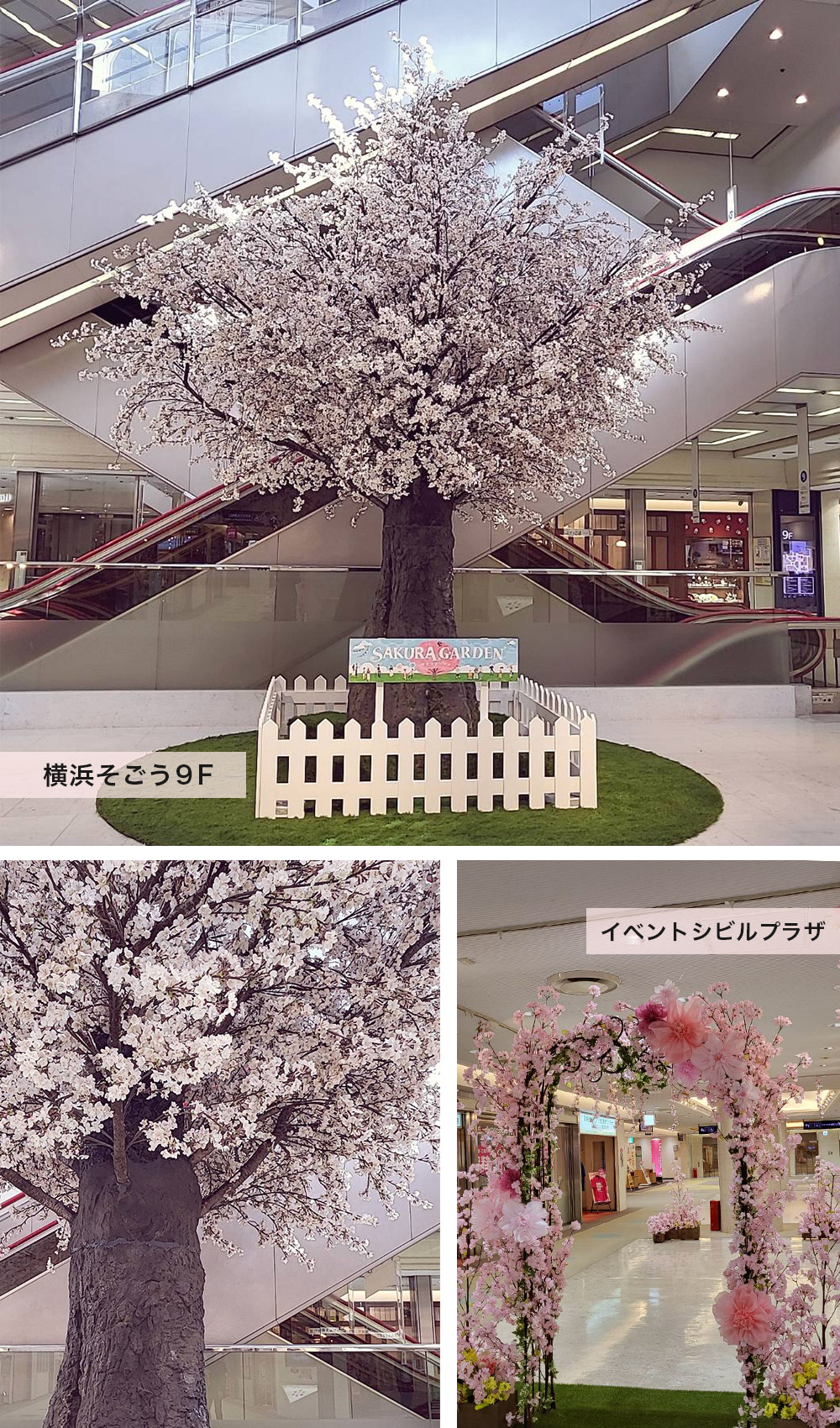 桜の木｜そごう横浜店９Fセンタープラザ